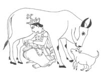 Krishna milking