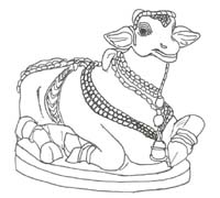 nandi